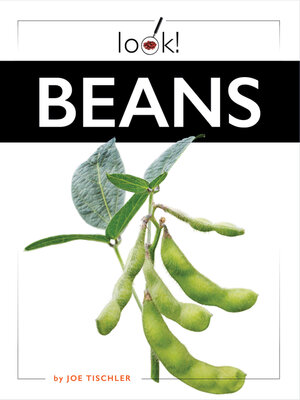 cover image of Beans